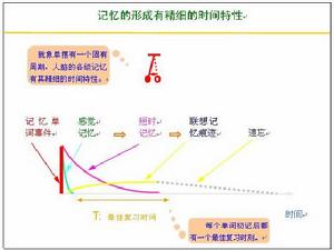 艾宾浩斯记忆曲线 艾宾浩斯记忆曲线
