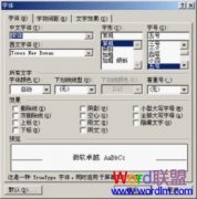 Word2003调整字符的宽与高