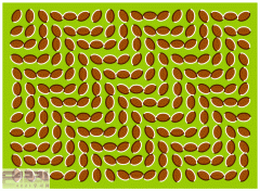 神奇图片-挑战右脑5