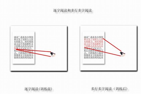 一目十行不是梦,过目不忘你也能!  —— 精英特速读记忆训练网